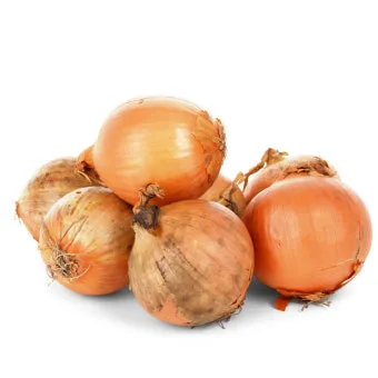 양파 보관법 양파 오래 보관법 3가지 방법_10