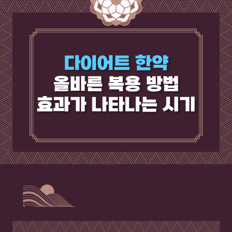 다이어트 한약 복용법