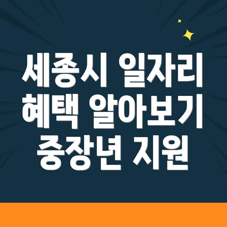 세종시 중장년 일자리