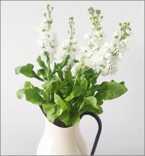 사진용량변견전 설명