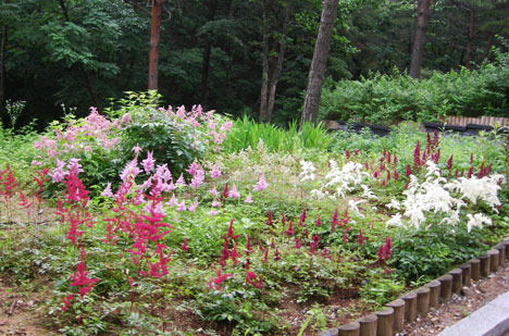 강릉 솔향수목원