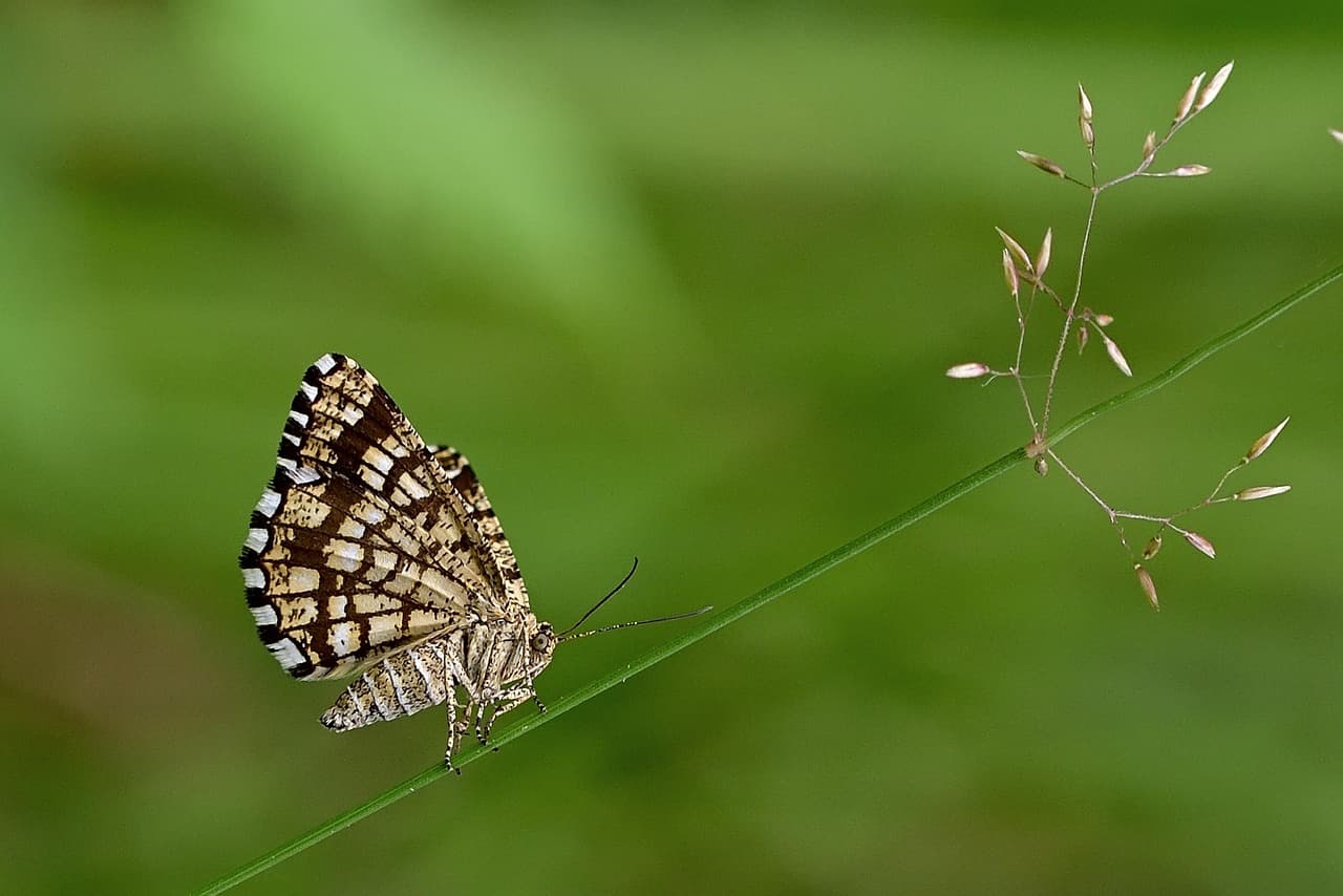 신재생 중심 전력시장 변화(전력구조, PPA확산, 시장모델)