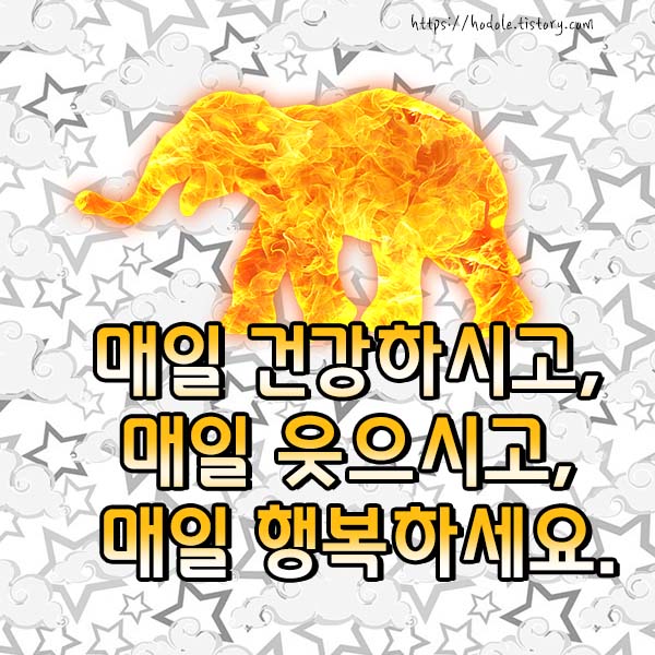 매일행복이미지