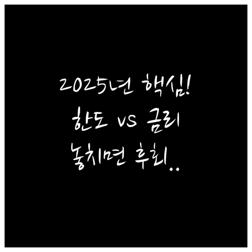 2025년 유동 자금 운용 핵심: 금..