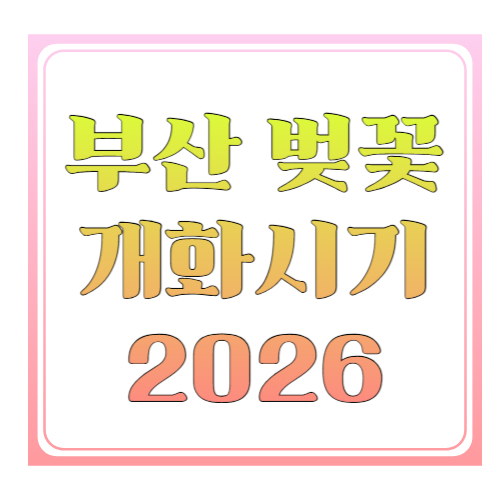 부산 벚꽃 개화시기: 3월 말부터 언제 피고, 언제 가야 만개일까?