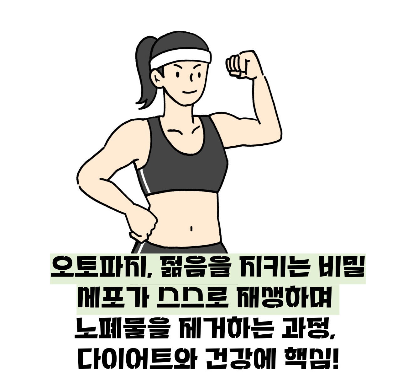 오토파지 다이어트 방법