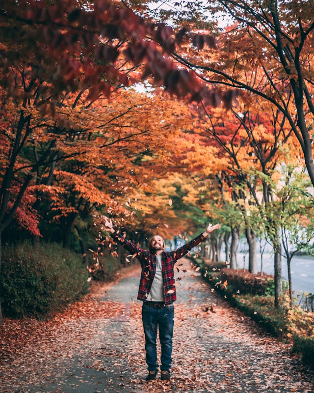 경상도 단풍 드라이브 코스