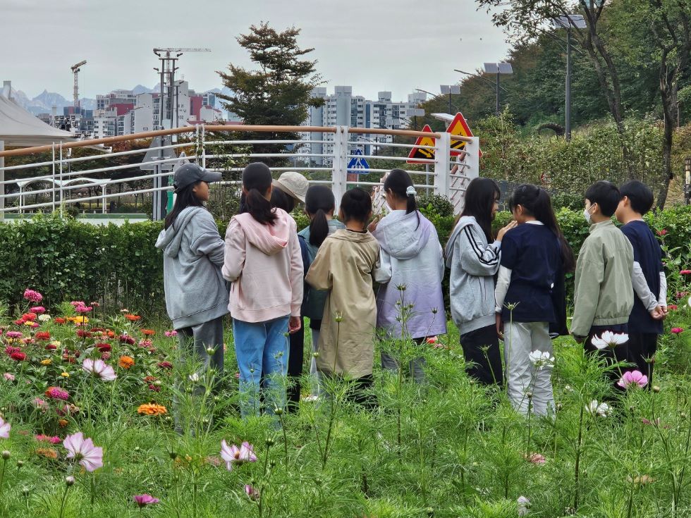 안양천 생태체험교실 사진
