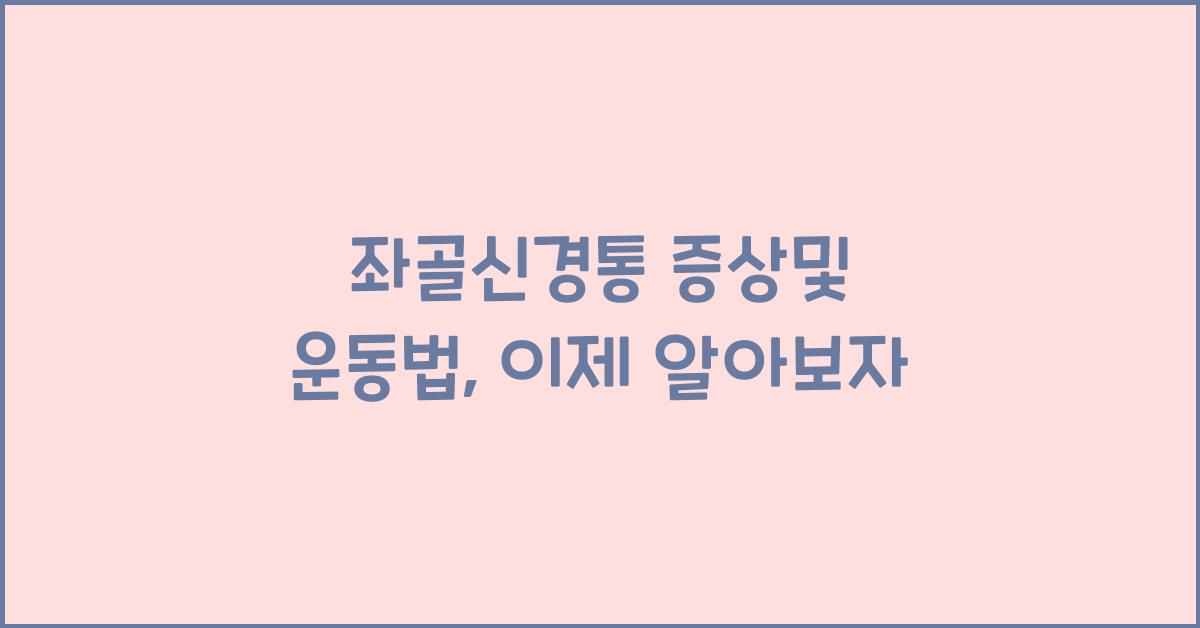 좌골신경통 증상및 운동법