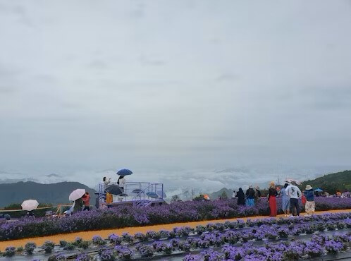 고양국제꽃박람회 2025! 일산 호수공원 개막일·입장료·주차 총정리