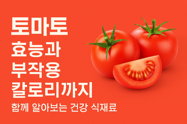 토마토의 효능 효과 부작용 및 칼로리 정리
