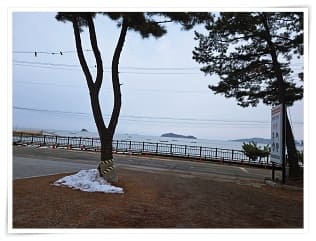 카페 6