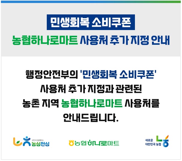 2차 민생회복 소비쿠폰