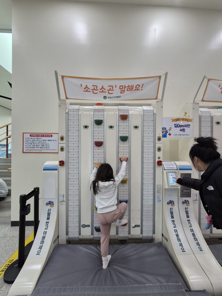 클라이밍 체험