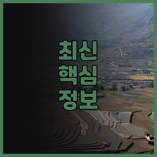 노보텔 롬복, 가성비 롬복 호텔? 솔