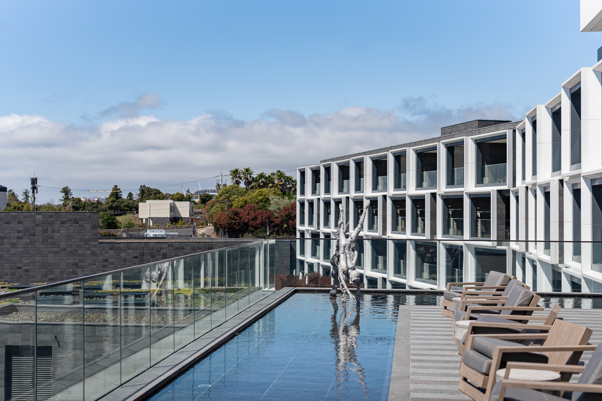 #JW가든 #JW메리어트제주 #댄싱두루미 #더플라잉호그 #아일랜드키친 #유채꽃 #제주사진 #제주여행 #제주유채꽃 #제주호텔