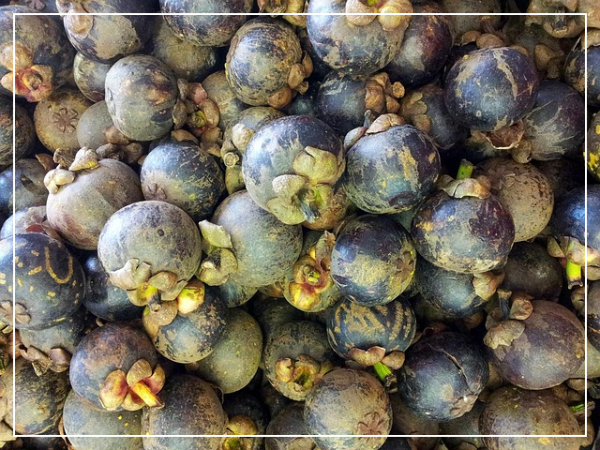 여행의 추억을 불러오는 한 입