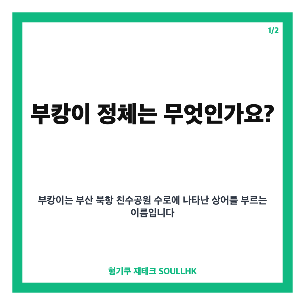 부캉이 정체는? 부산 북항 3.5m 상어와 지역 상권 변화 카드뉴스 1