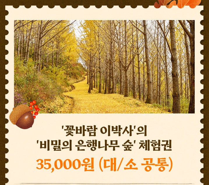 에버랜드 은행나무숲 예약