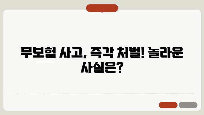 무본험 사고시 처벌