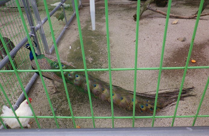 캠핑장 사진