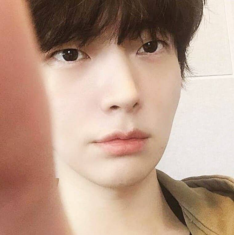 배우-안재현