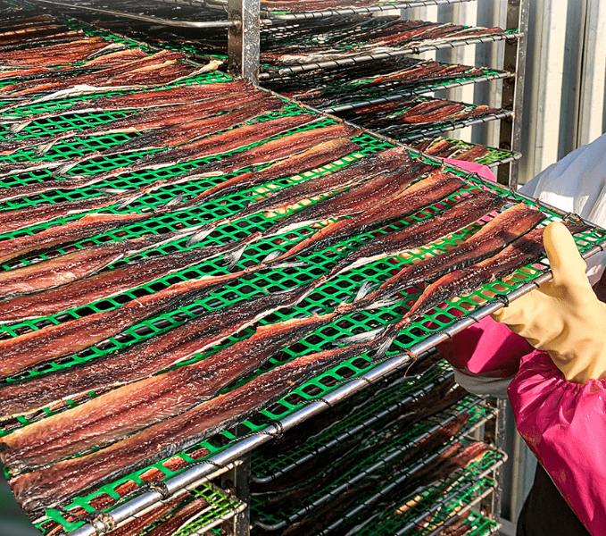 생방송투데이 오늘도달린다 청년사장 수산물로 월매출 4천 윤자네수산 정보