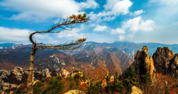 국립공원 실시간 cctv 모바일