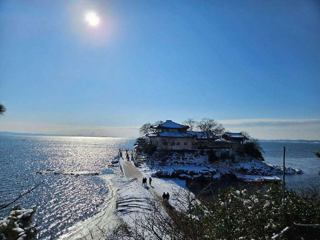 서해안 반려견 겨울 나들이 명소, 강아지와 함께 걷기 좋은 바다 산책