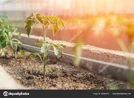 2023년 경기도 광주시 농민기본소득 지원사업 추가(3차) 신청대상과 신청방법