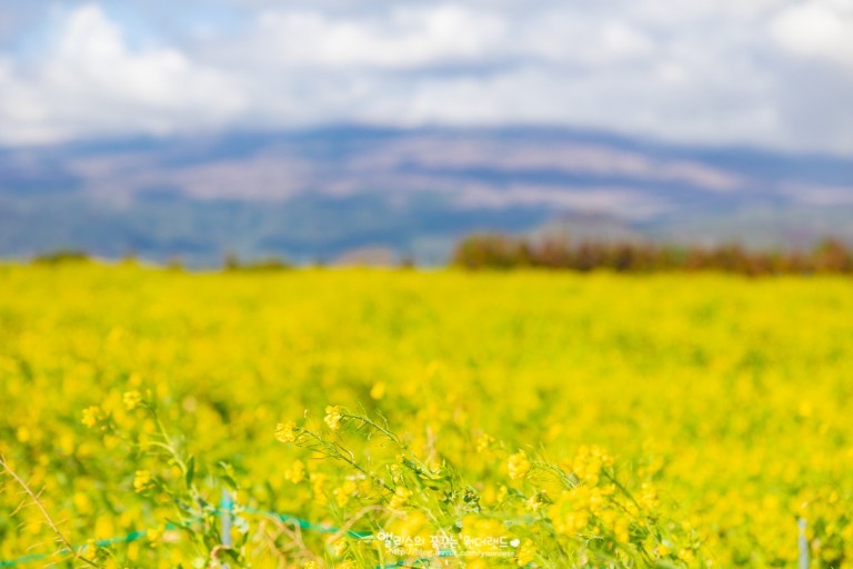 제주도 가볼 만한 곳 10곳