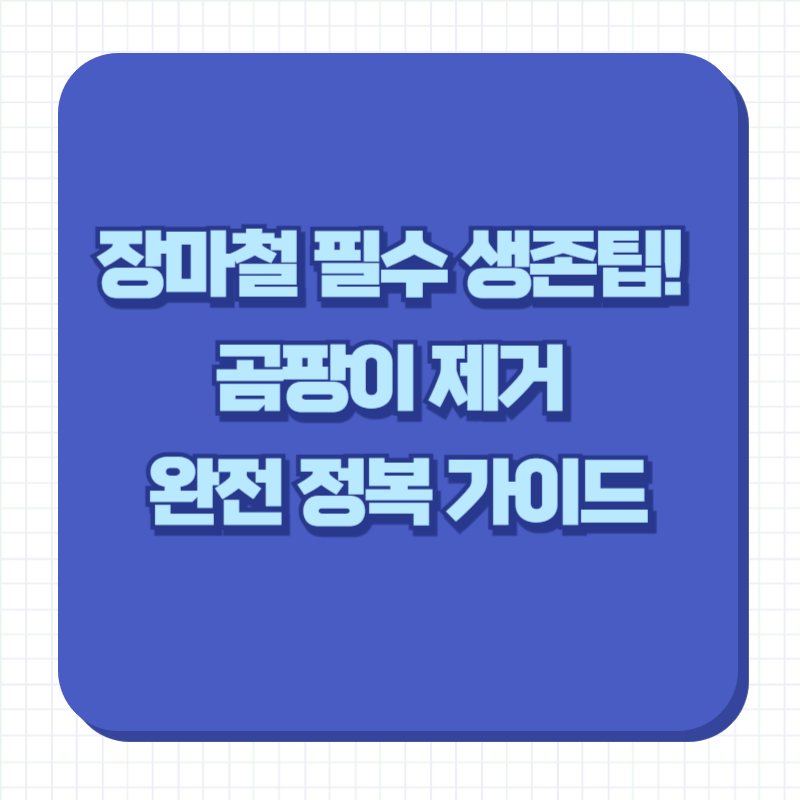 장마철 필수 생존팁! 곰팡이 제거 완전 정복 가이드
