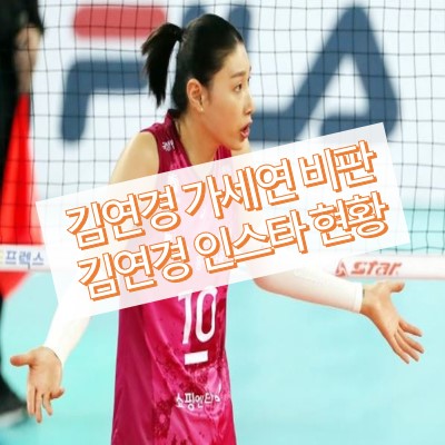 김연경 가로세로연구소