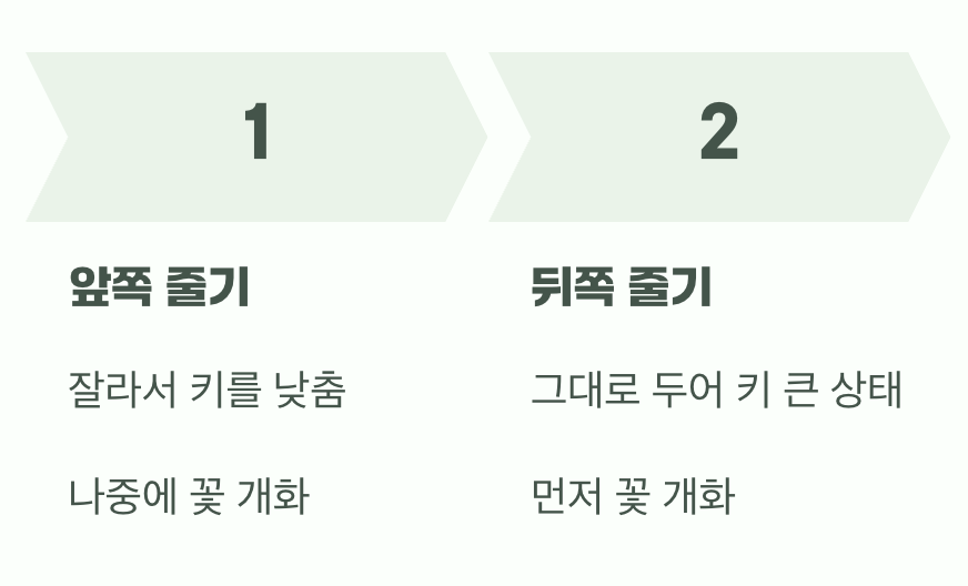'순지르기'를 할까 말까, 고민된다면?