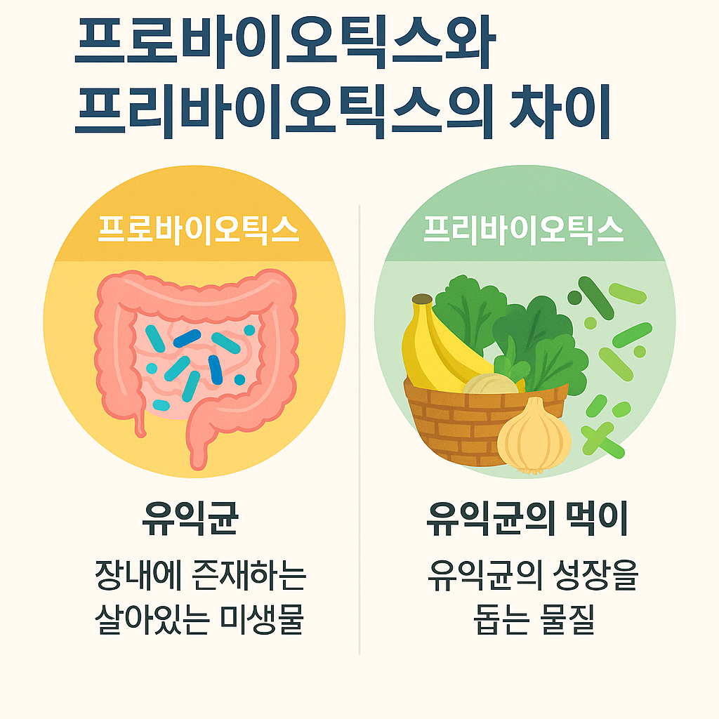 프로바이오틱스와 프리바이오틱스의 차이 관련 사진