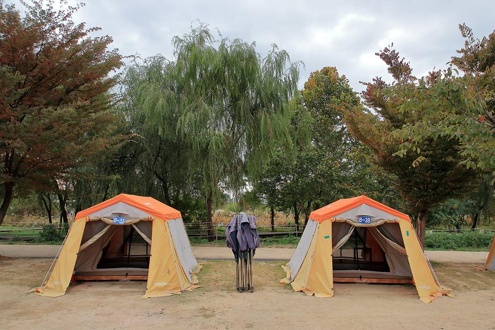 서울 한강공원 난지캠핑장 소개