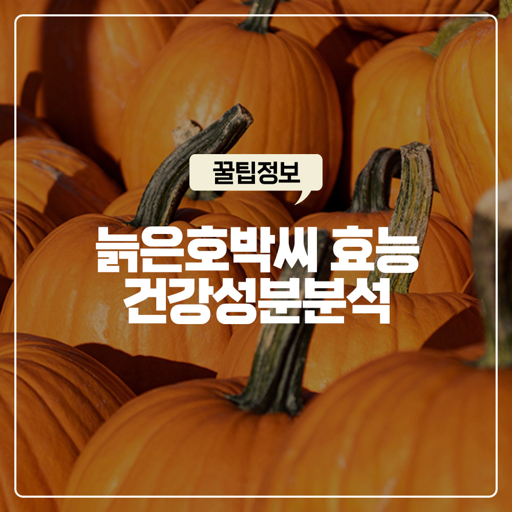 늙은호박씨 효능 불면증 극복 트립토판과 남성 전립선 건강 성분 분석