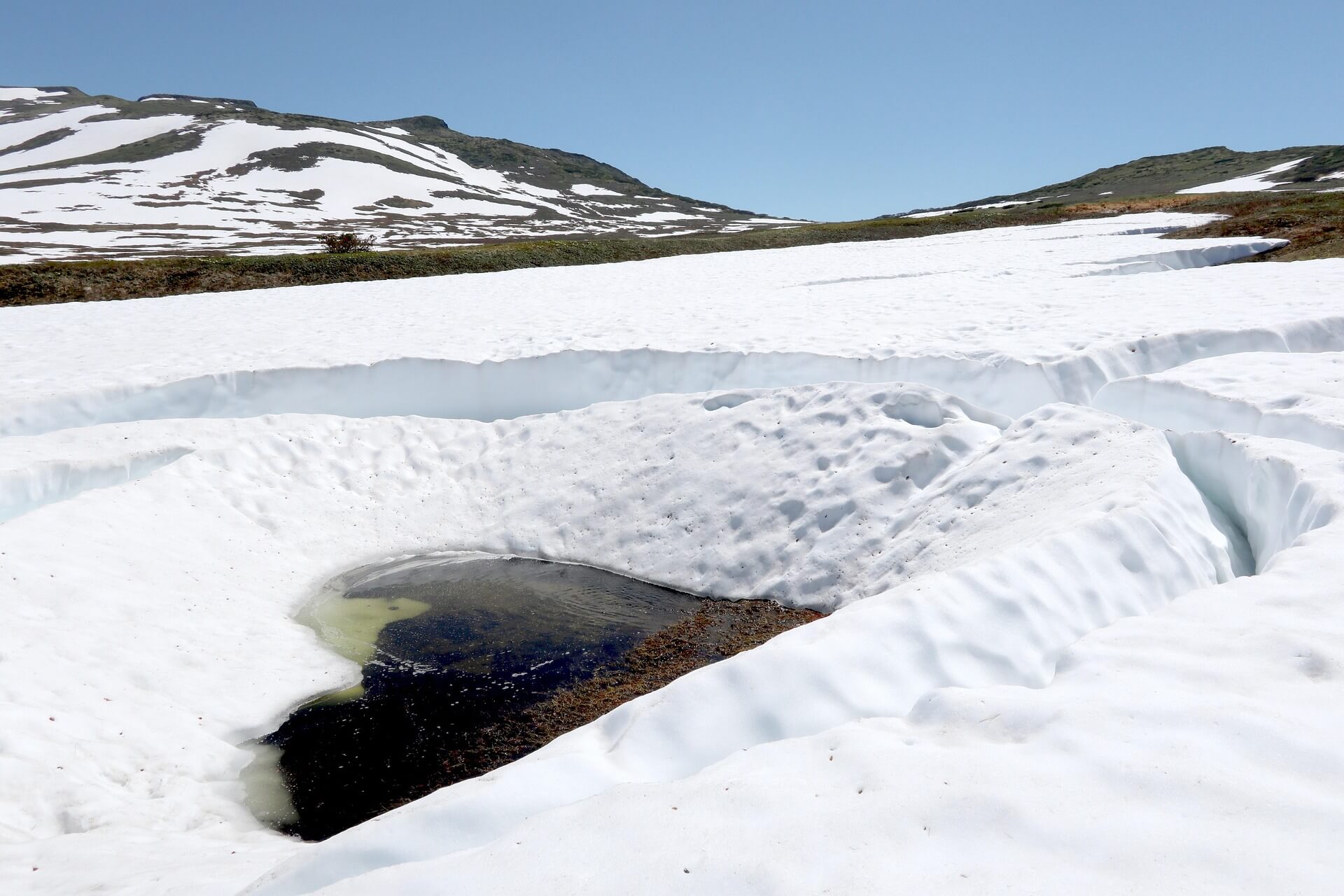 툰드라를 왜 ‘취약한 생태계’로 봐야 할까: 멸종위기 동식물 관점 정리