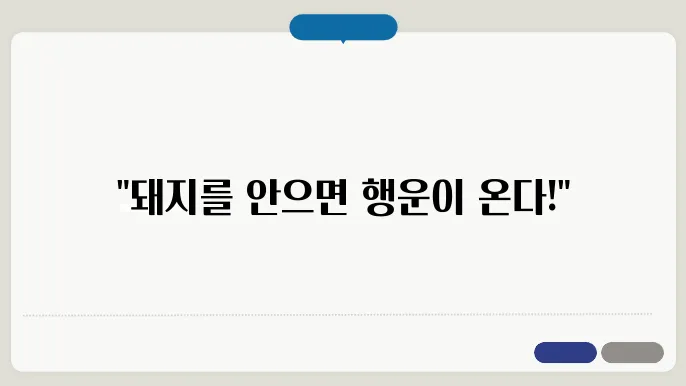 돼지를 안는 꿈