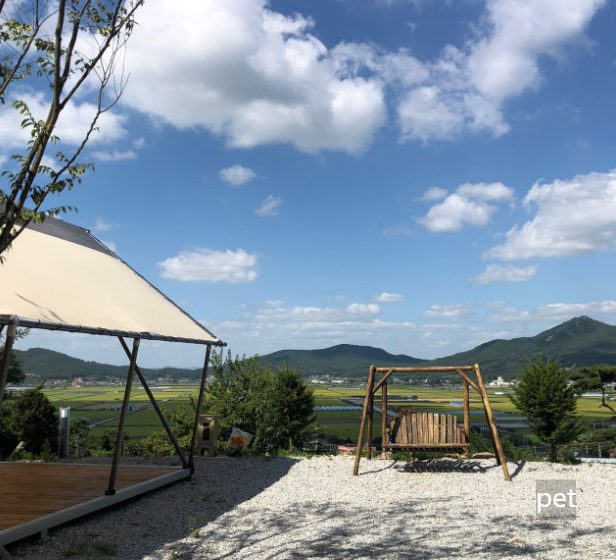 경기-인천-스톤캠핑장-예약-방법-애견-동반-가격-주소-시간-후기