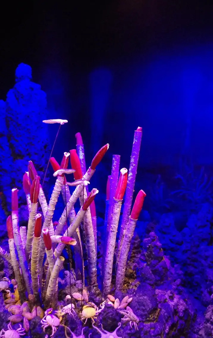 손해평가사 시험일정 시험과목 합격률