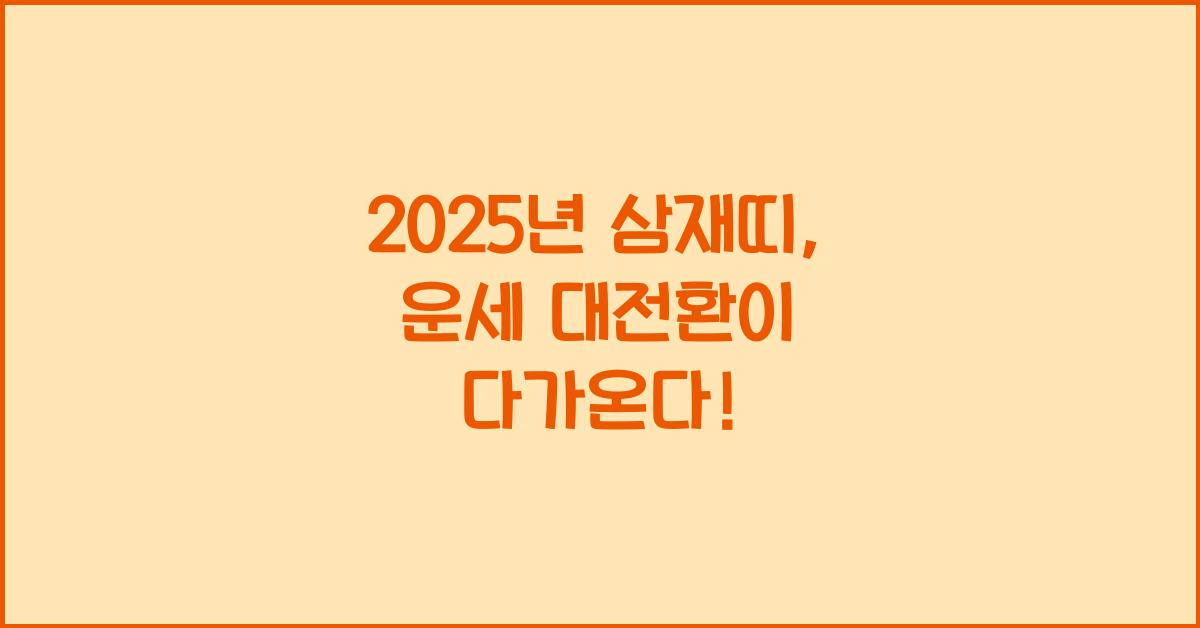 2025년 삼재띠
