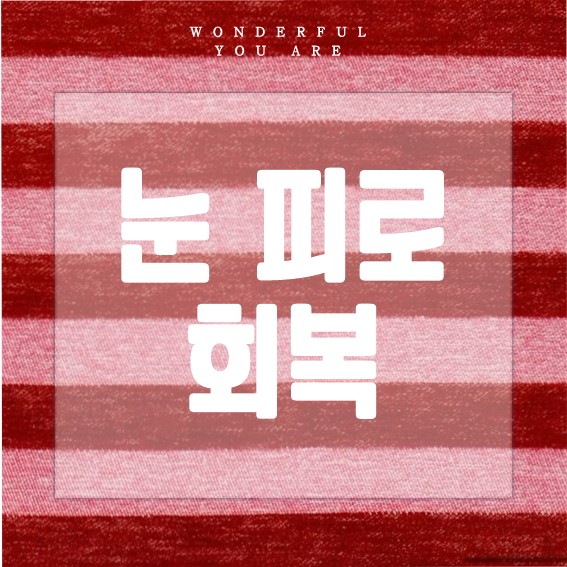 눈 피로 완벽 가이드: 해소와 회복의 모든 것