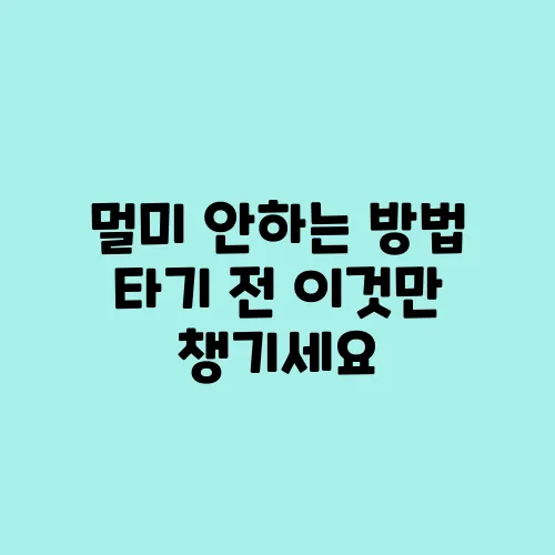 멀미 안하는 방법 타기 전 이것만 챙기세요