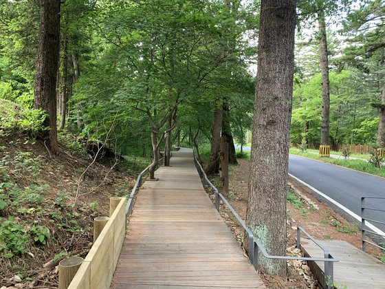 광릉숲길 주요 코스