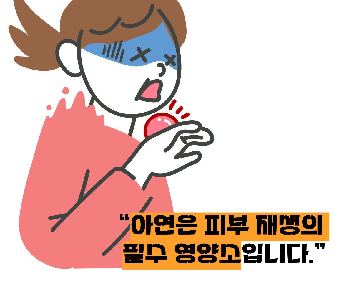 아연 효능