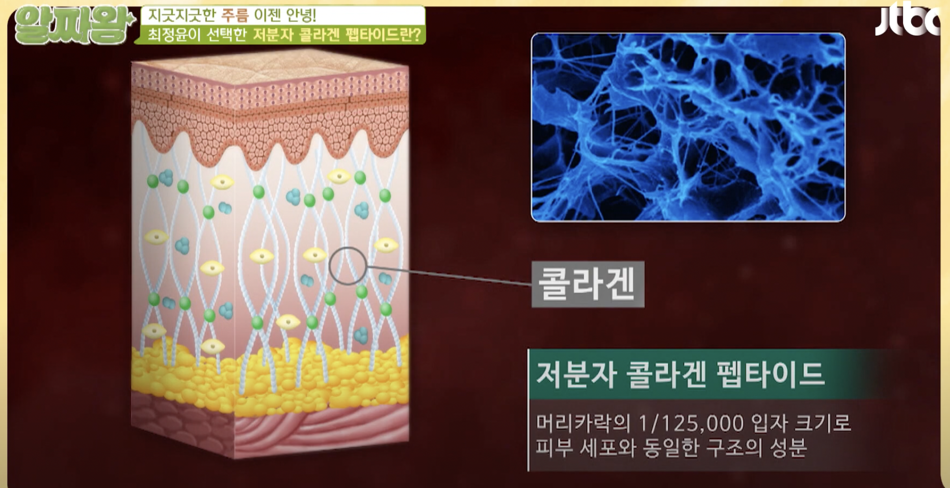 저분자 콜라겐 펩타이드 효능