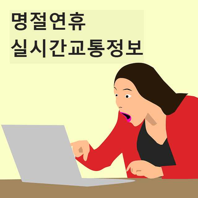 설날 명절연휴 실시간 교통정보 알아보기