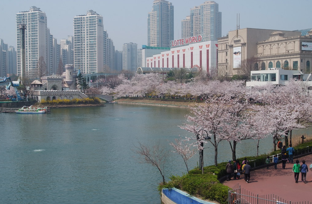 벚꽃명소