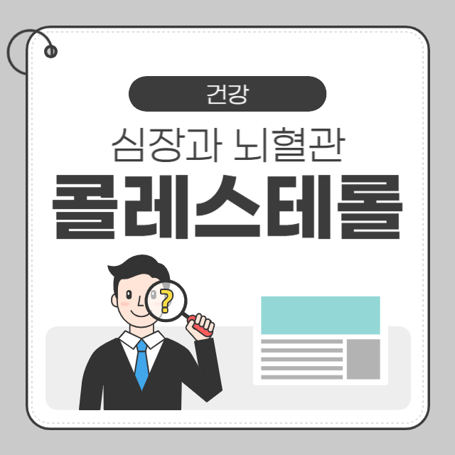 콜레스테롤